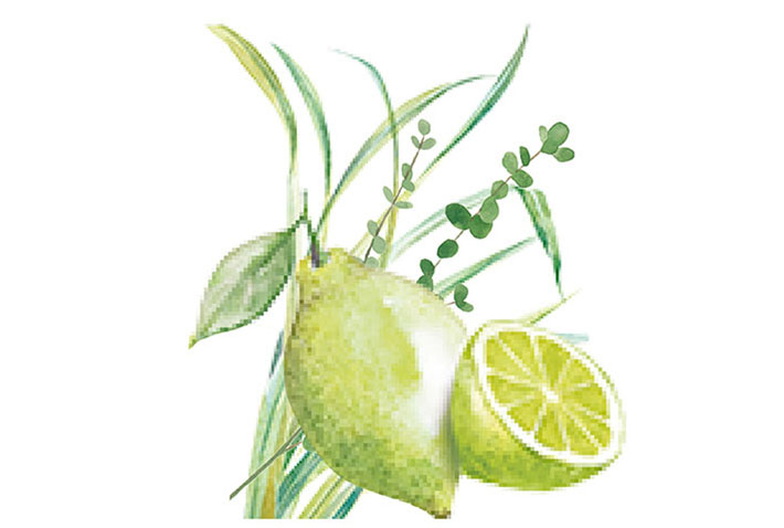 Herbal Lemongrass タスカ アロマネイルオイル