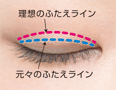 元々あるふたえのライン上から、理想のふたえラインまで塗ります。