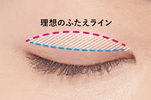 オリシキ | Double Eyelid | Products | D-UP | アイメイク
