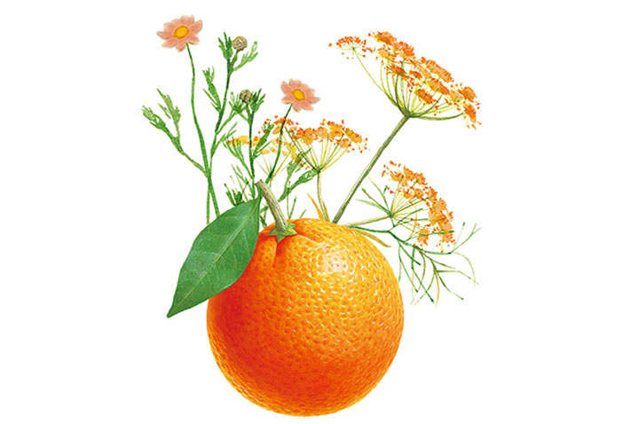 Sweetie Citrus タスカ アロマネイルオイル
