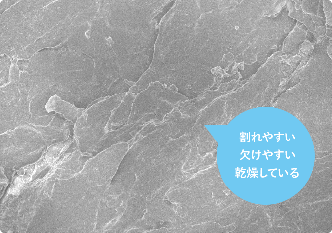 割れやすい 欠けやすい 乾燥している