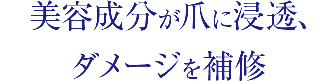 美容成分が爪に浸透、ダメージを補修